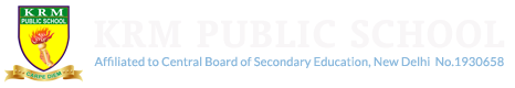Delhi Public School