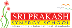 Delhi Public School
