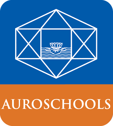 Delhi Public School